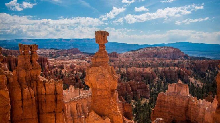 How Responsive Is 11Xplay Customer Support To Email Queries?